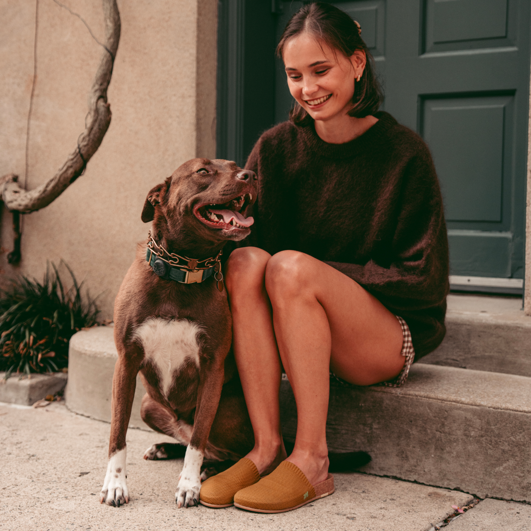 Grandpa Pebble Mule - Golden